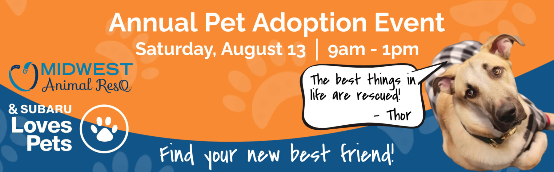 Lees Summit Subaru Pet Adoption Event Midwest Animal ResQ
